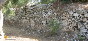 Area urbana di Vereto. Tratto superstite di mura in opera incerta (età romana). Foto di N. Febbraro.